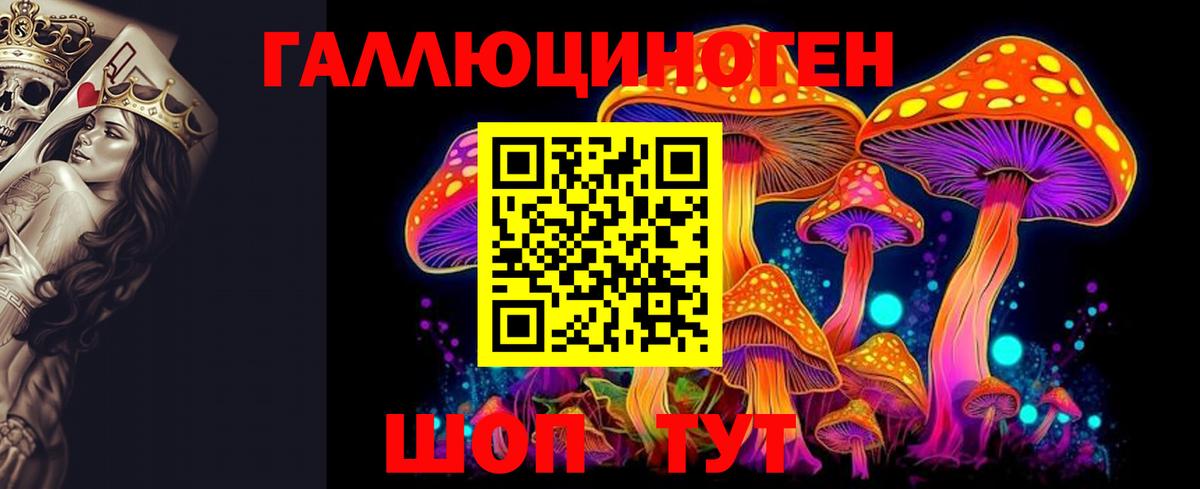 Псилоцибиновые грибы Psilocybe  Псилоцибиновые грибы MAGIC MUSHROOMS  Вход с VPN  Бузулук 